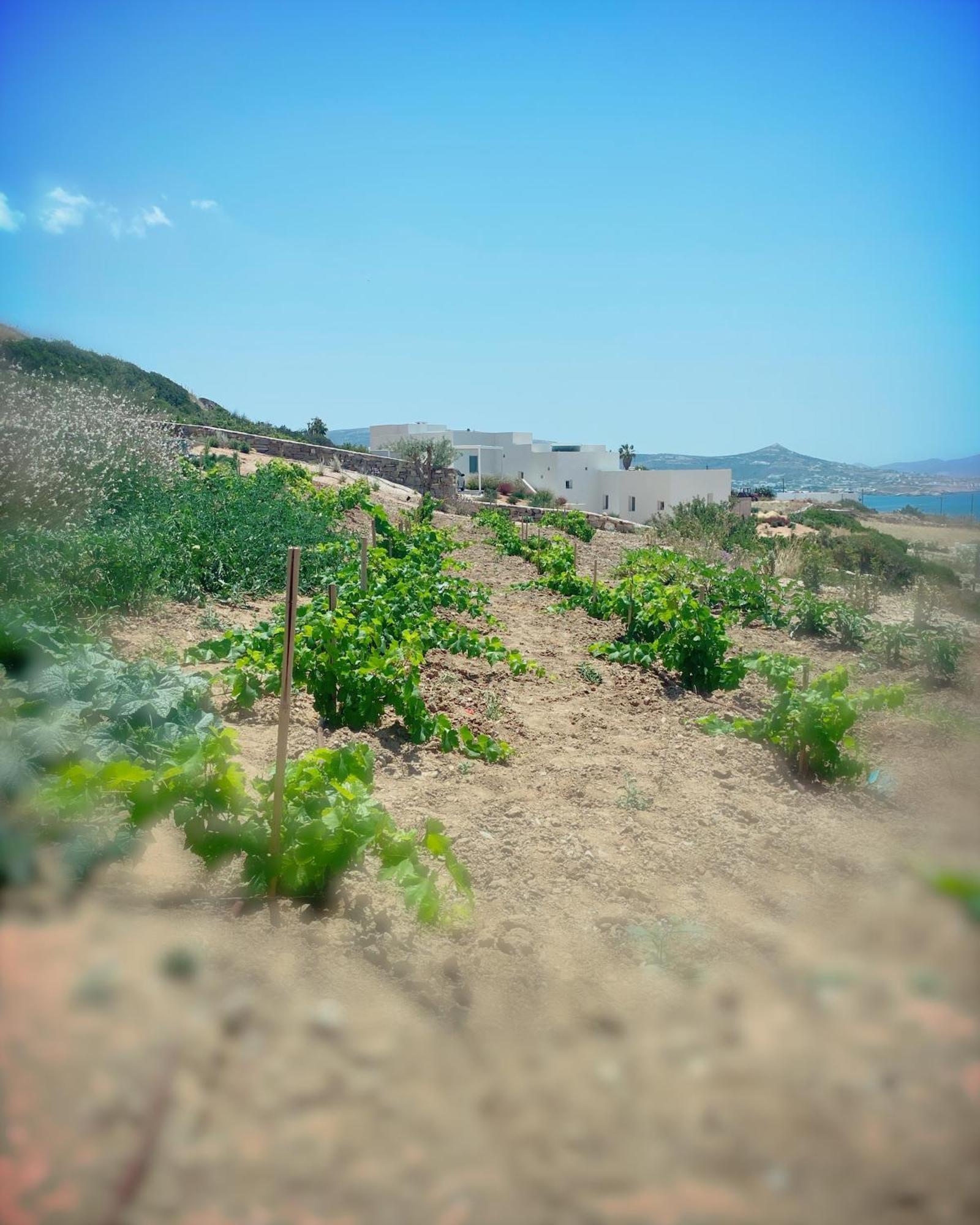 Olithos Villas Krotiri Exterior foto